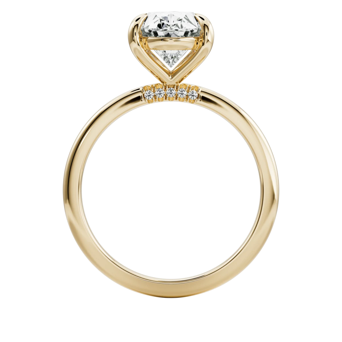 Die Anatomie eines Rings 4