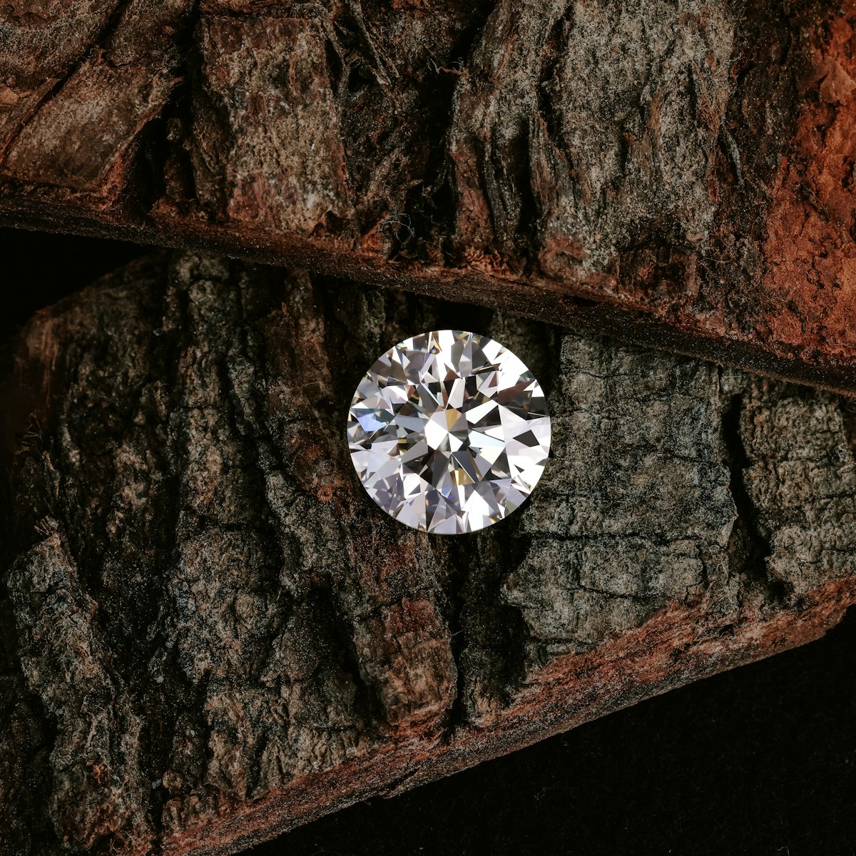 Nachhaltigkeit 2 Diamant auf Baumrinde — im Labor gewachsen, in der Natur zuhause